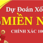 Lô kép 247 dự đoán xổ số miền Nam hôm nay chính xác VIP