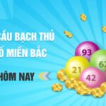 Bạch Thủ Đề Miền Bắc Hôm Nay